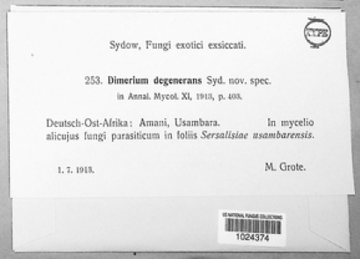 Dimerium degenerans image